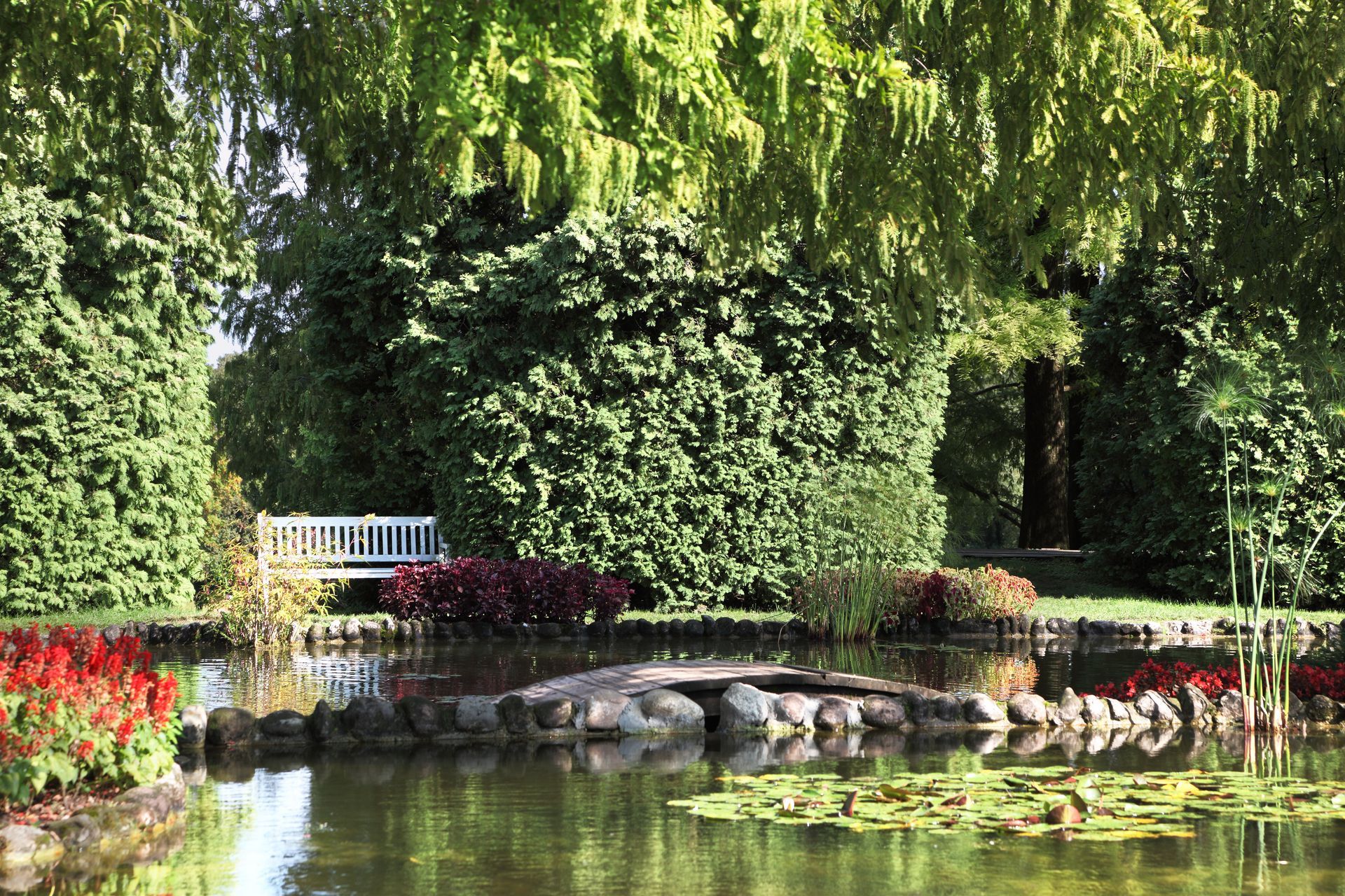 A pond and elegantly trimmed trees
