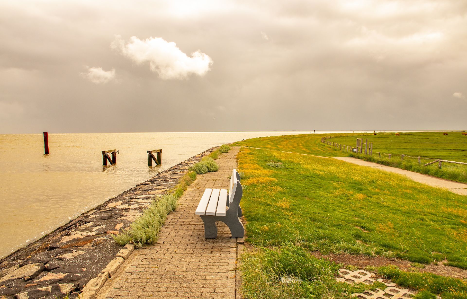  Hallig Hooge - Insel in Nordfriesland. Sitzbank am Ufer  