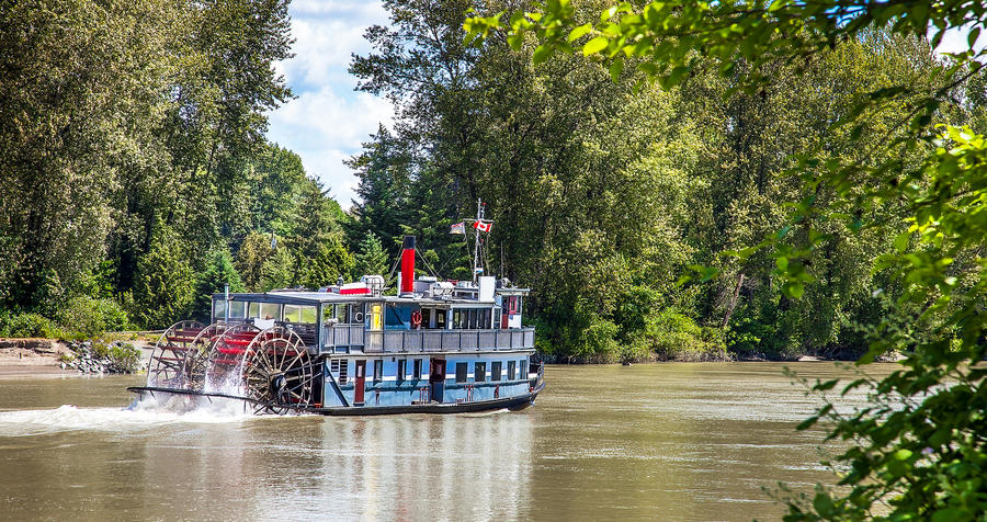 Bild zu Reise: Schifffahrt auf der Elbe mit historischem Raddampfer