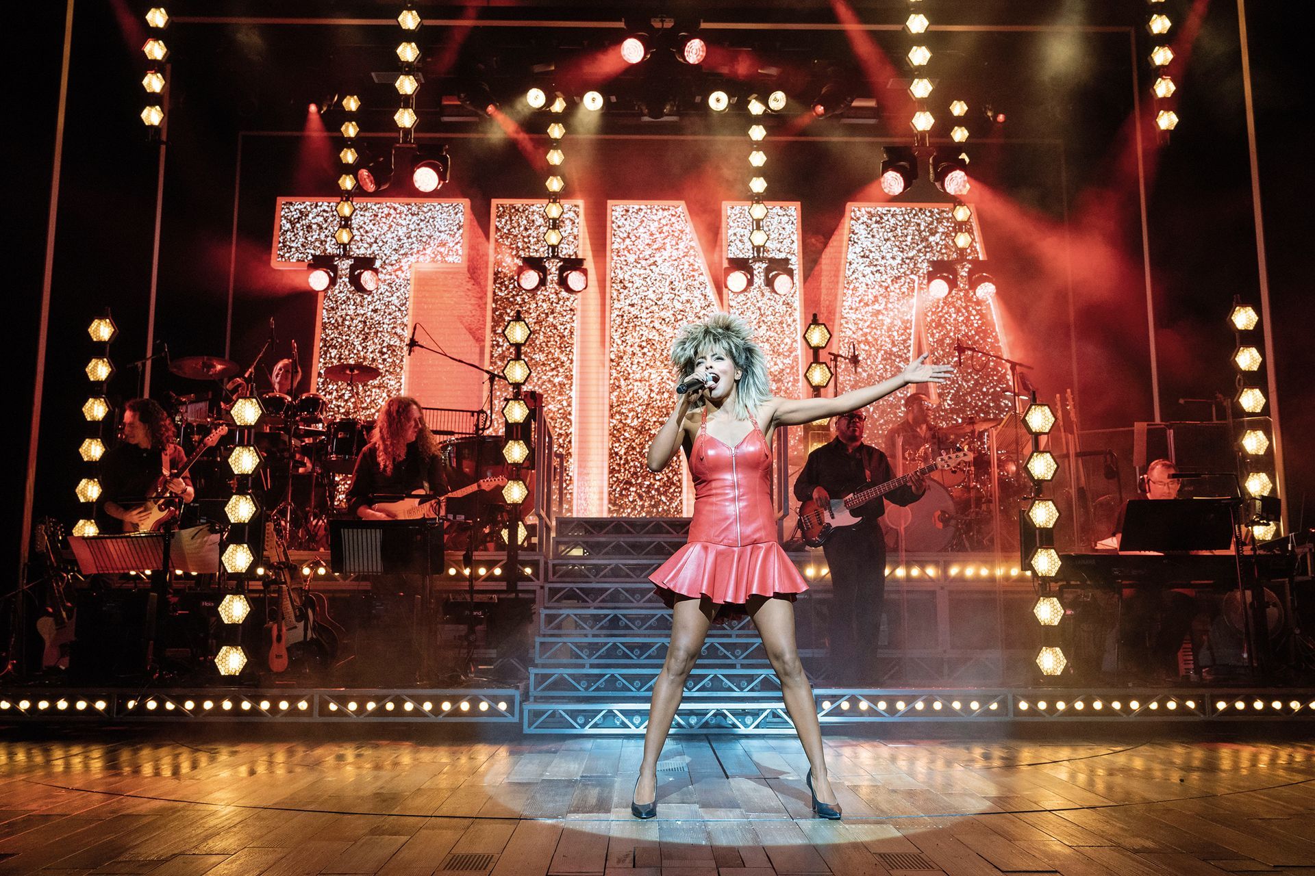 Tina Turner – Musical