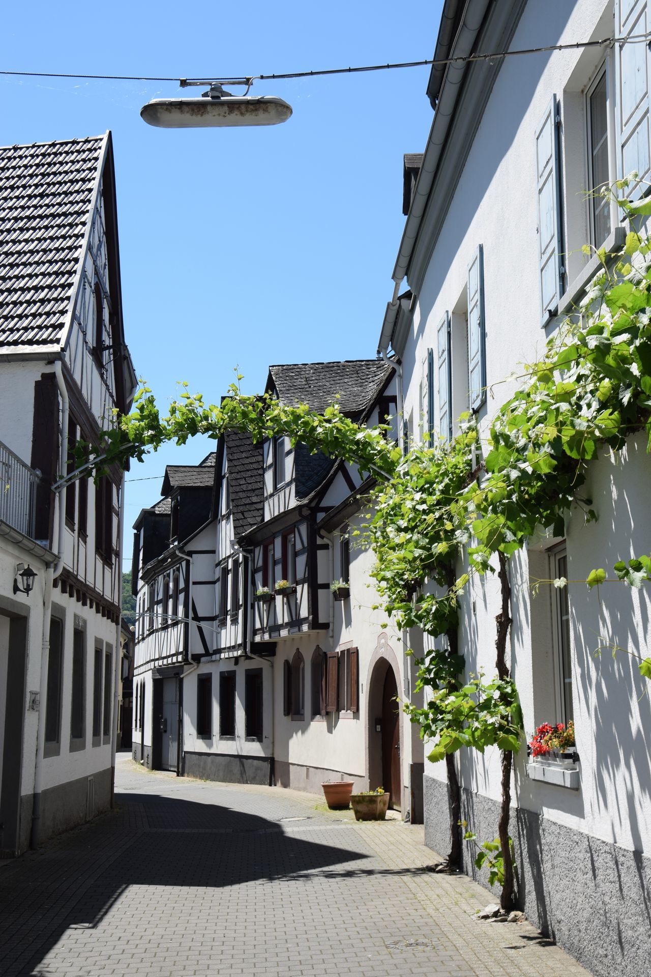 Winningen an der Mosel