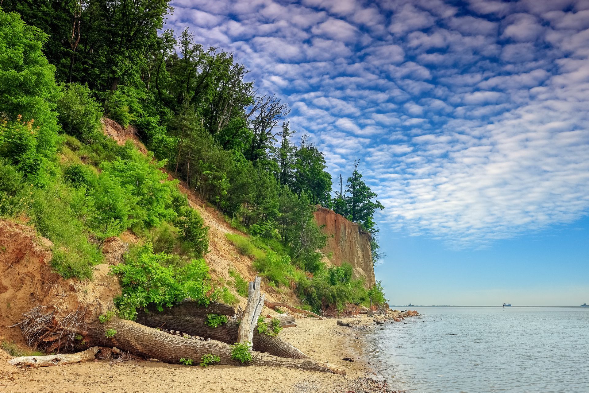 Kaszuby-Kępa Redłowska-Klif Orłowski