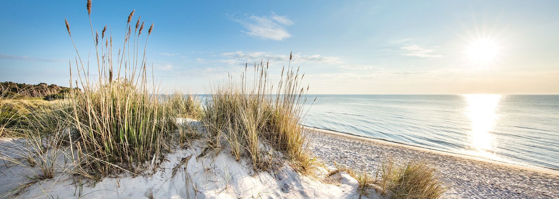 Binz