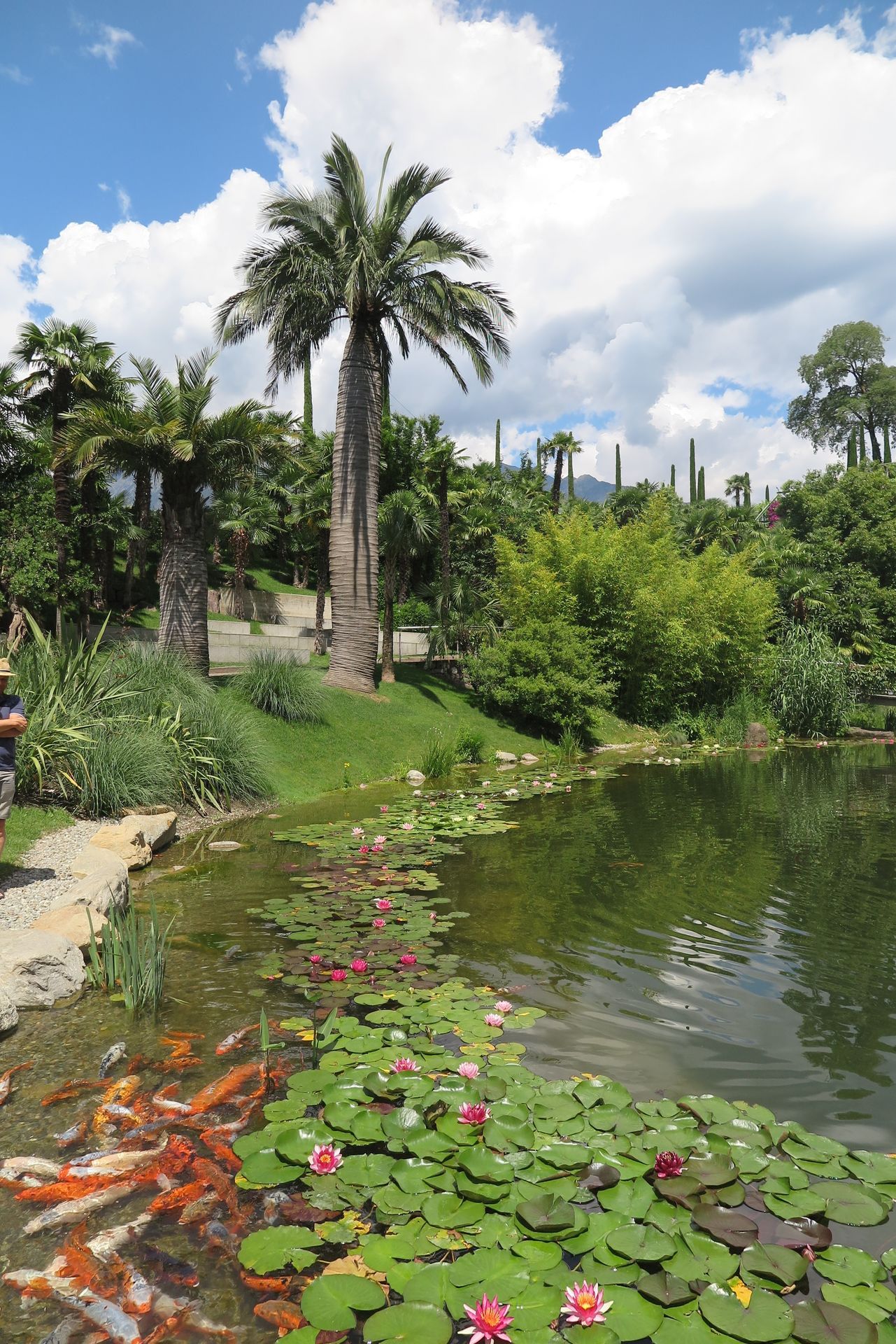 Die botanischen Gärten von Schloss Trautmannsdorf, Südtirol