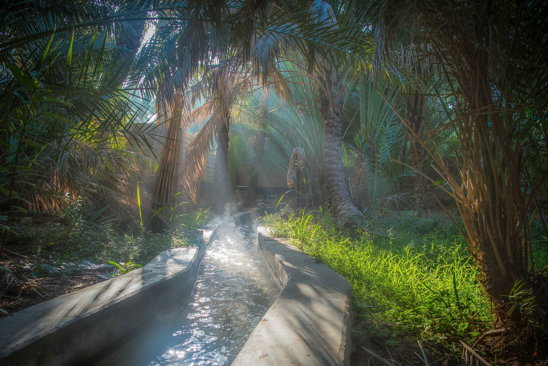 Irrigation channel  in Al Ain Oasis, United Arab Emirates