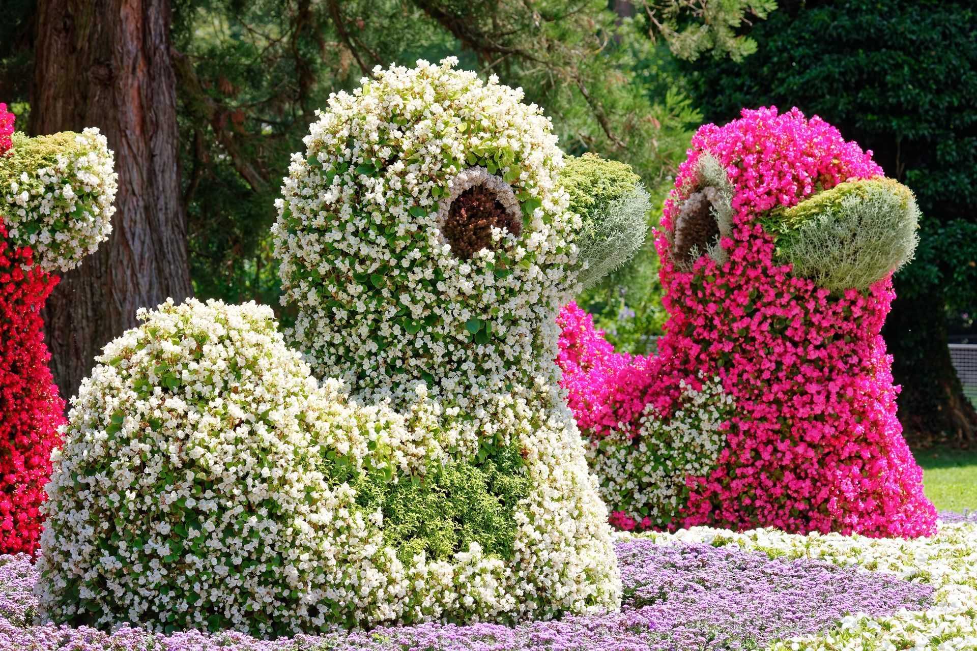 Shrubs, bushes in shape of animals, Isle Mainau