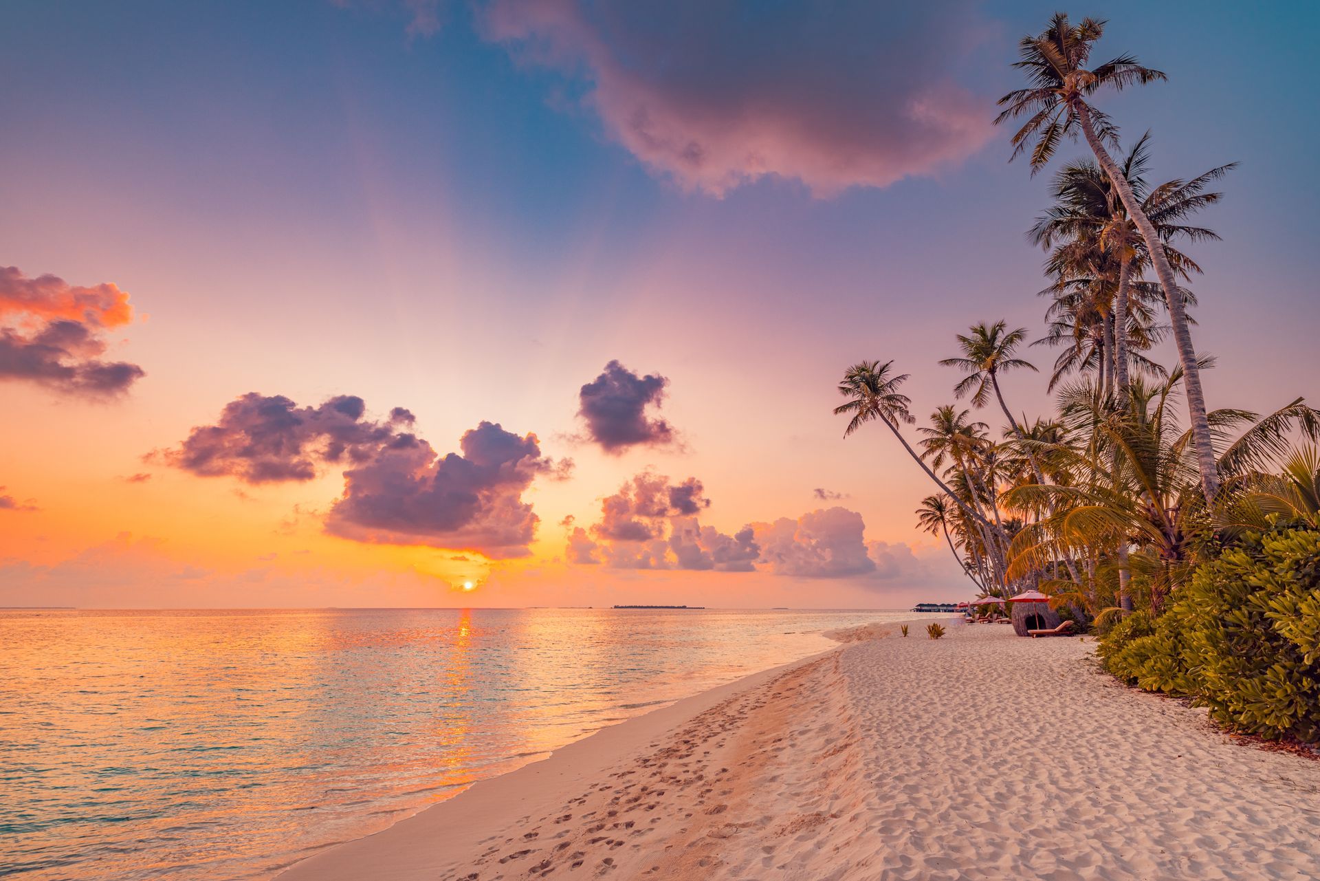 Best island beach. Silhouette palm trees panoramic destination landscape. Inspire sea sand popular vacation tropical beach seascape horizon. Orange gold sunset sky. Calm tranquil relax summer travel