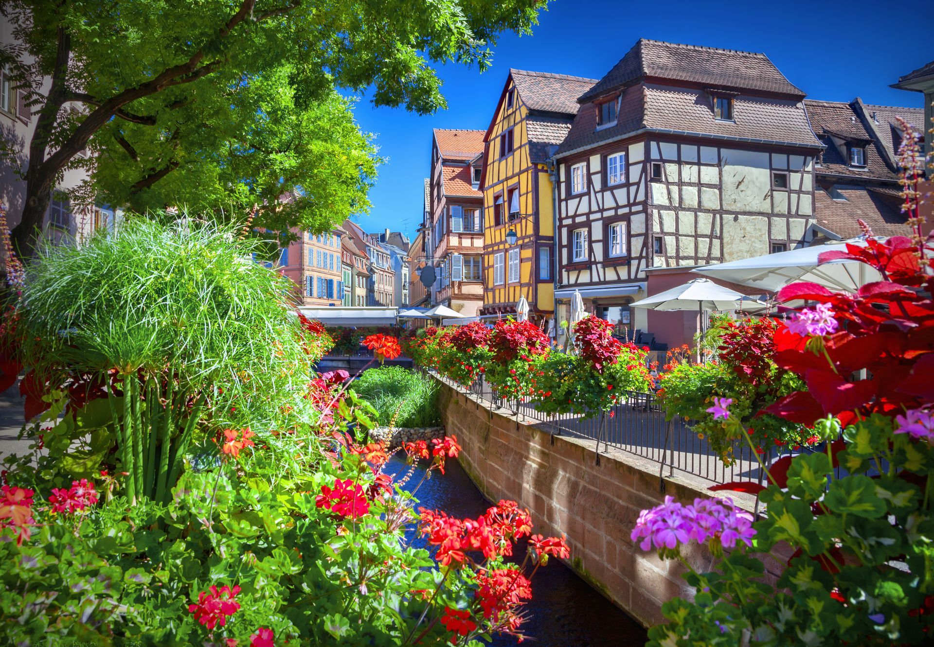 Town of Colmar