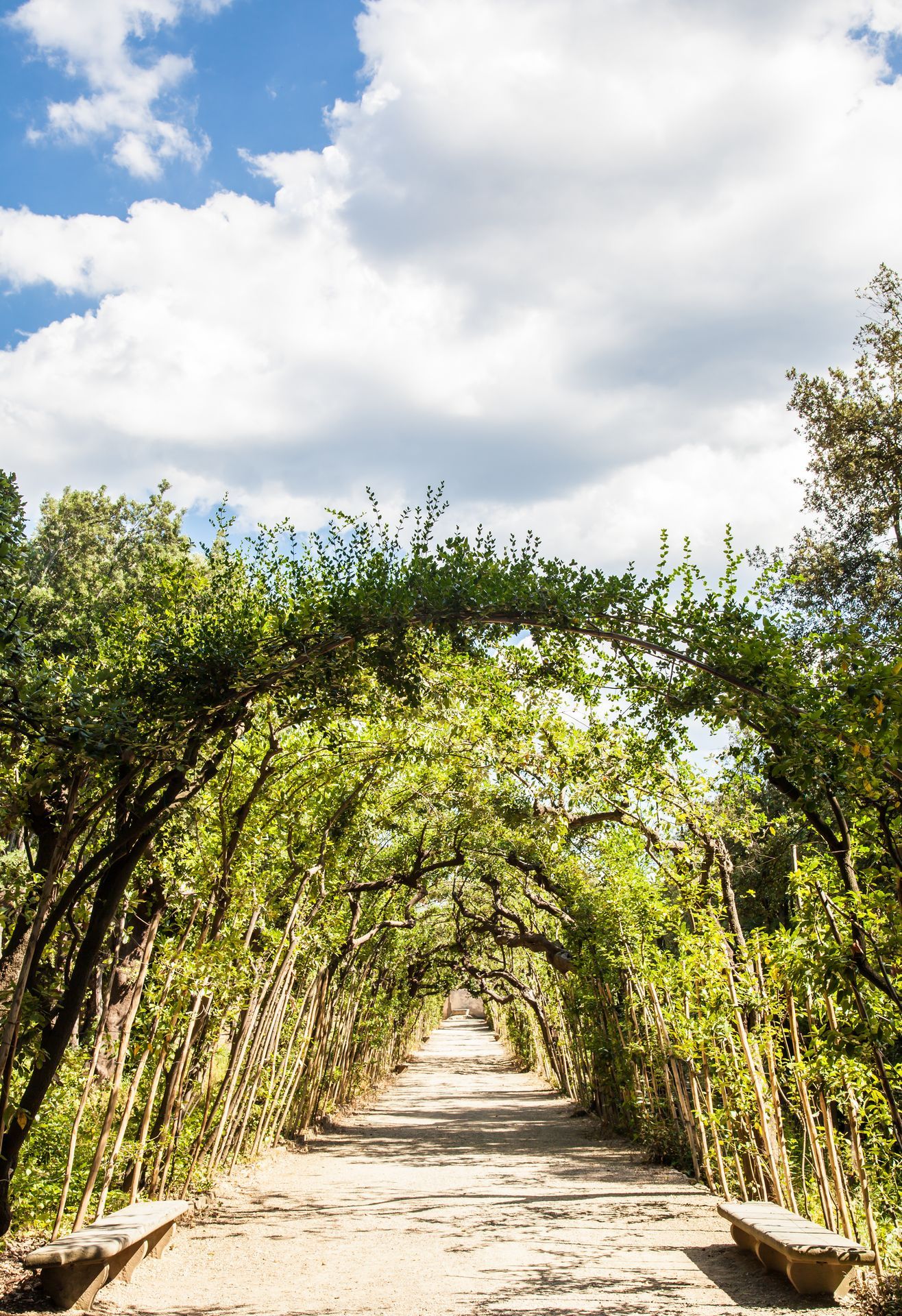 Boboli Gardens