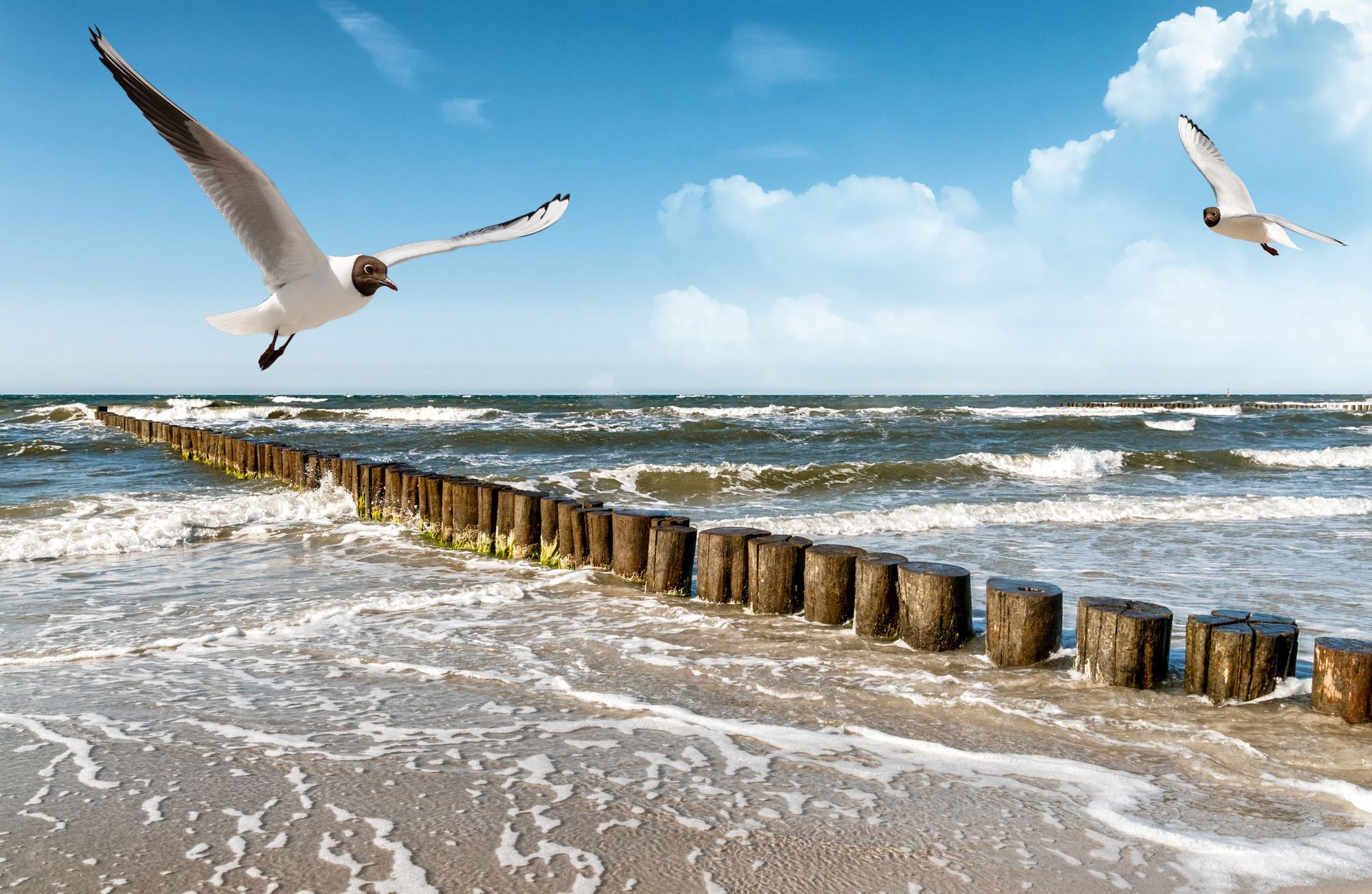 Ostseestrand