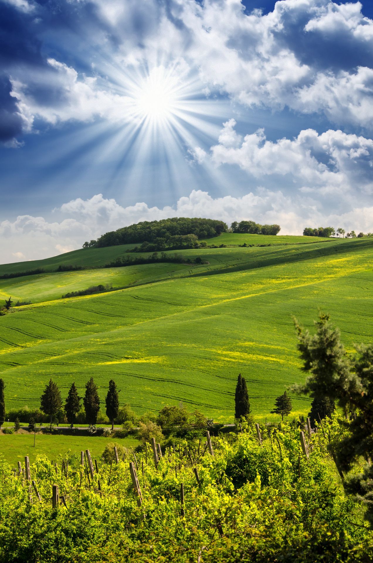Tuscany Hills and Countryside in Chianti region