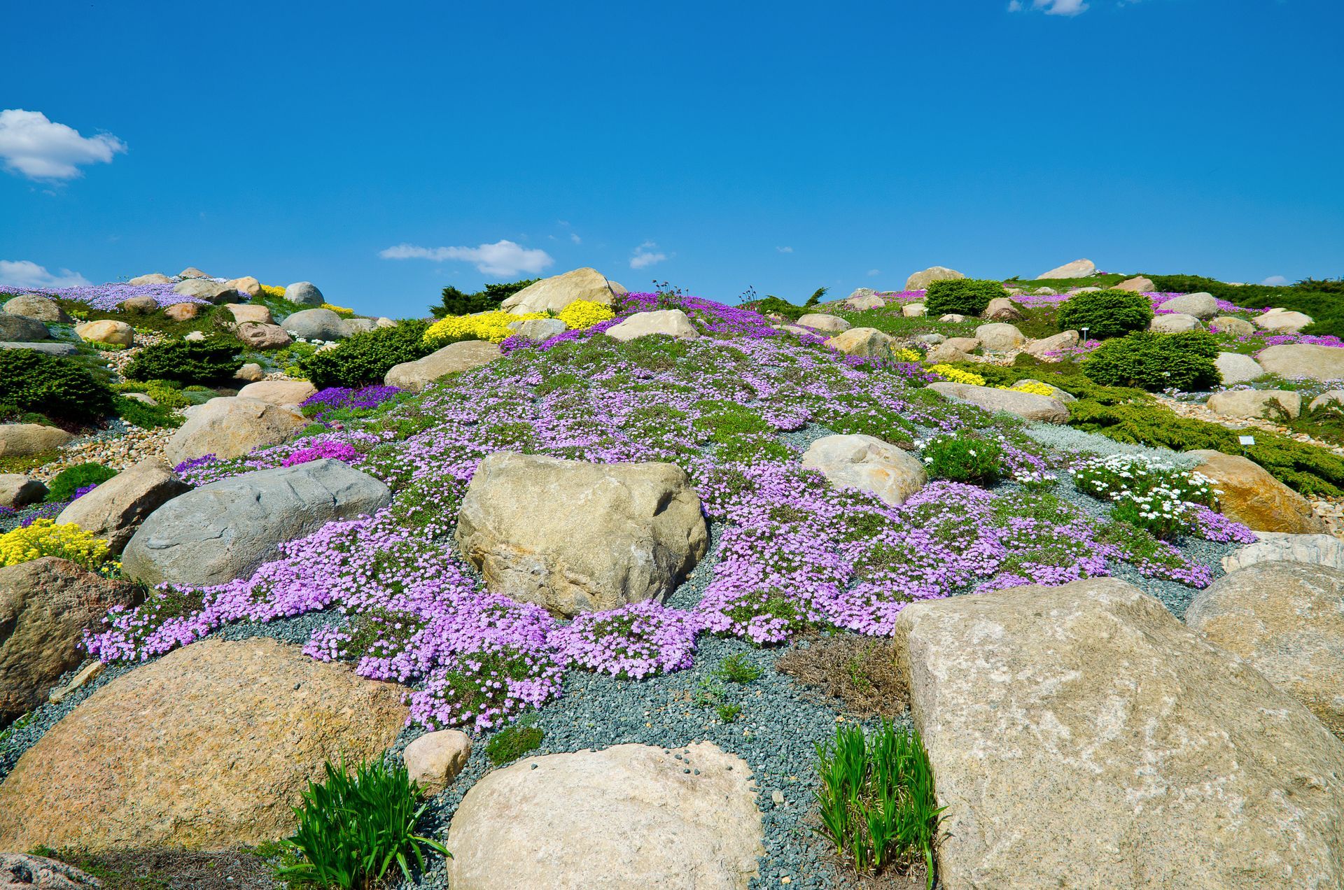 Nochten Findlingspfad