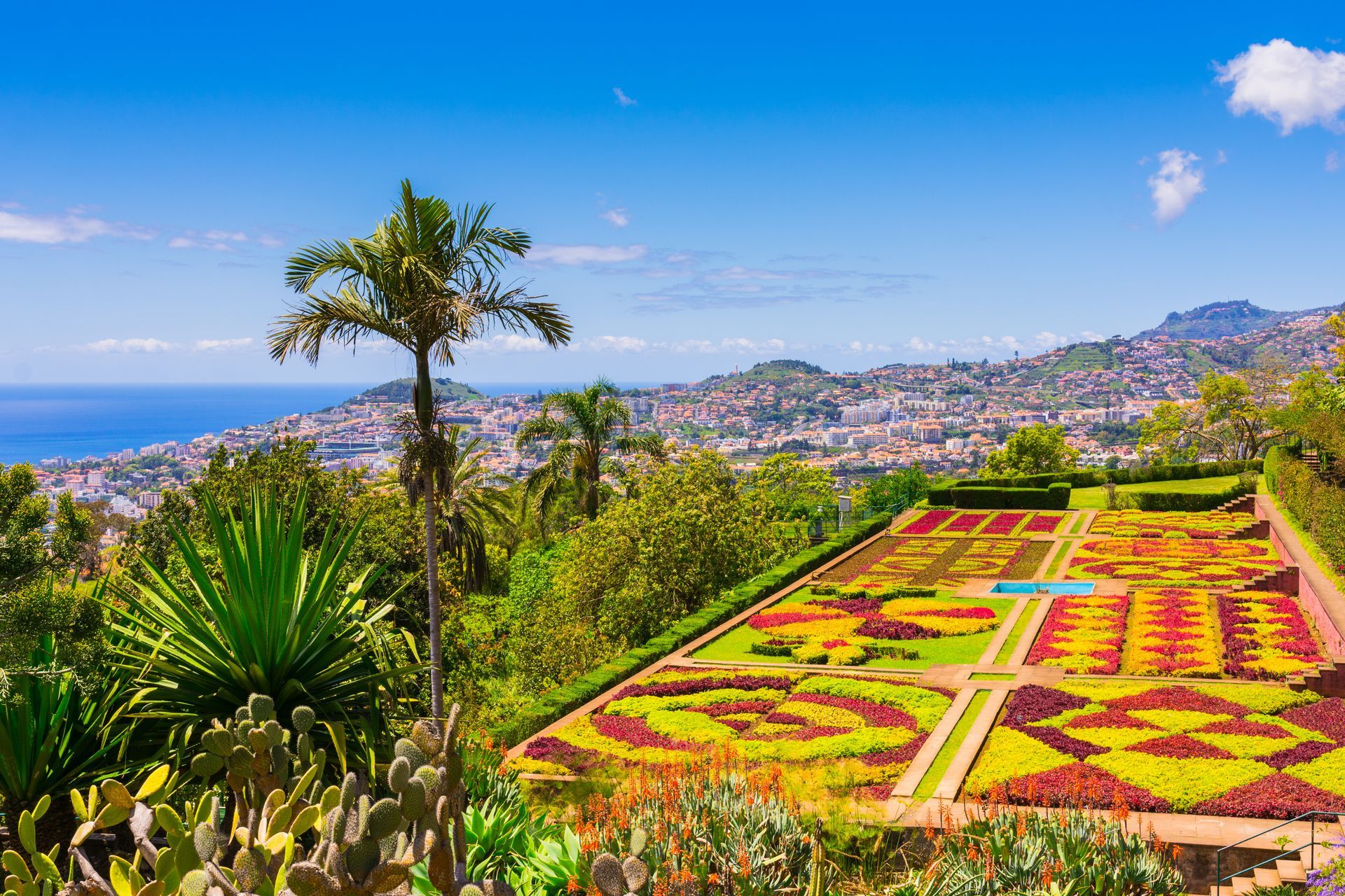 Botanical garden in Funchal, Madeira island, Portugal