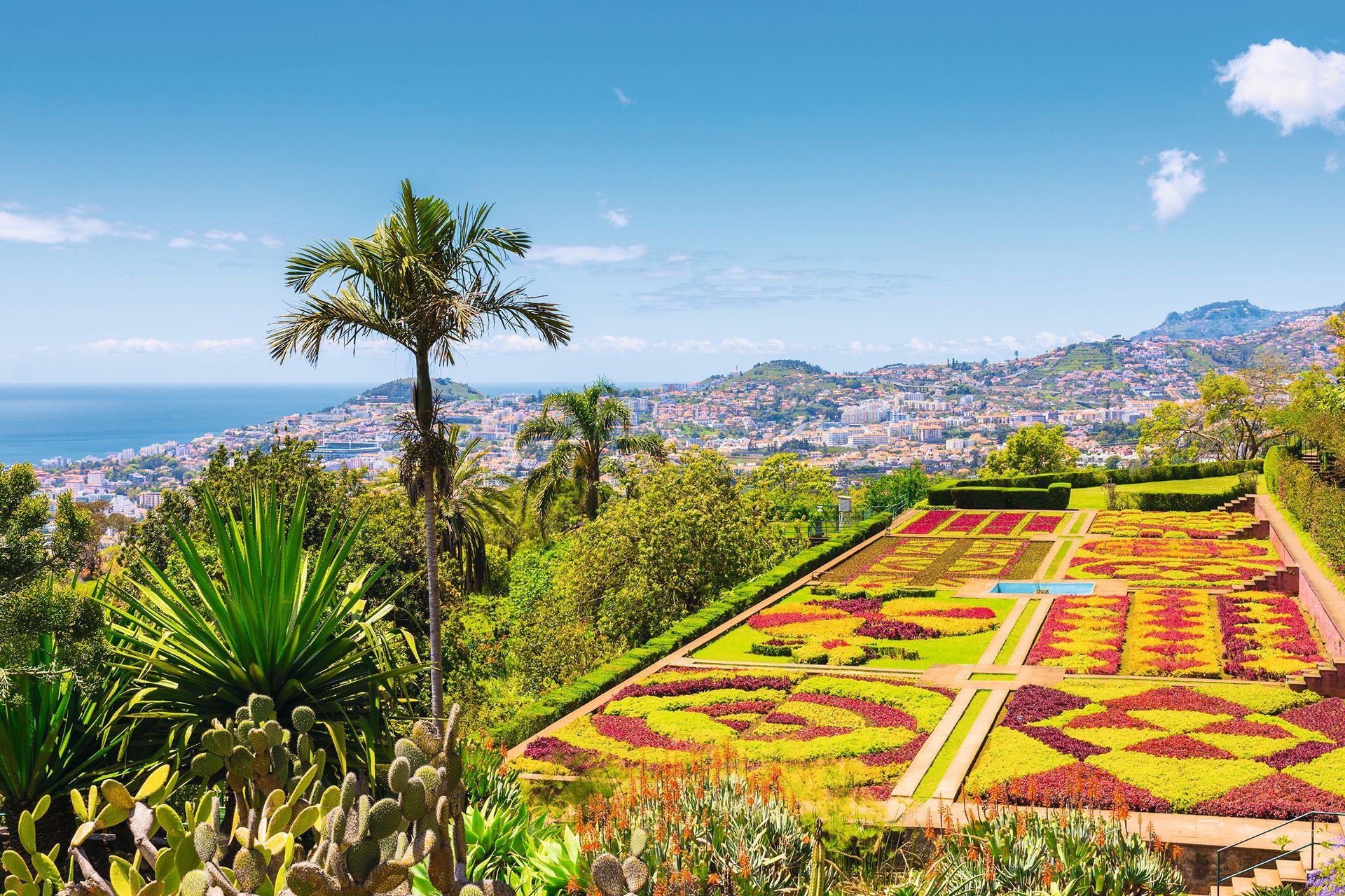 Botanical garden in Funchal, Madeira island, Portugal