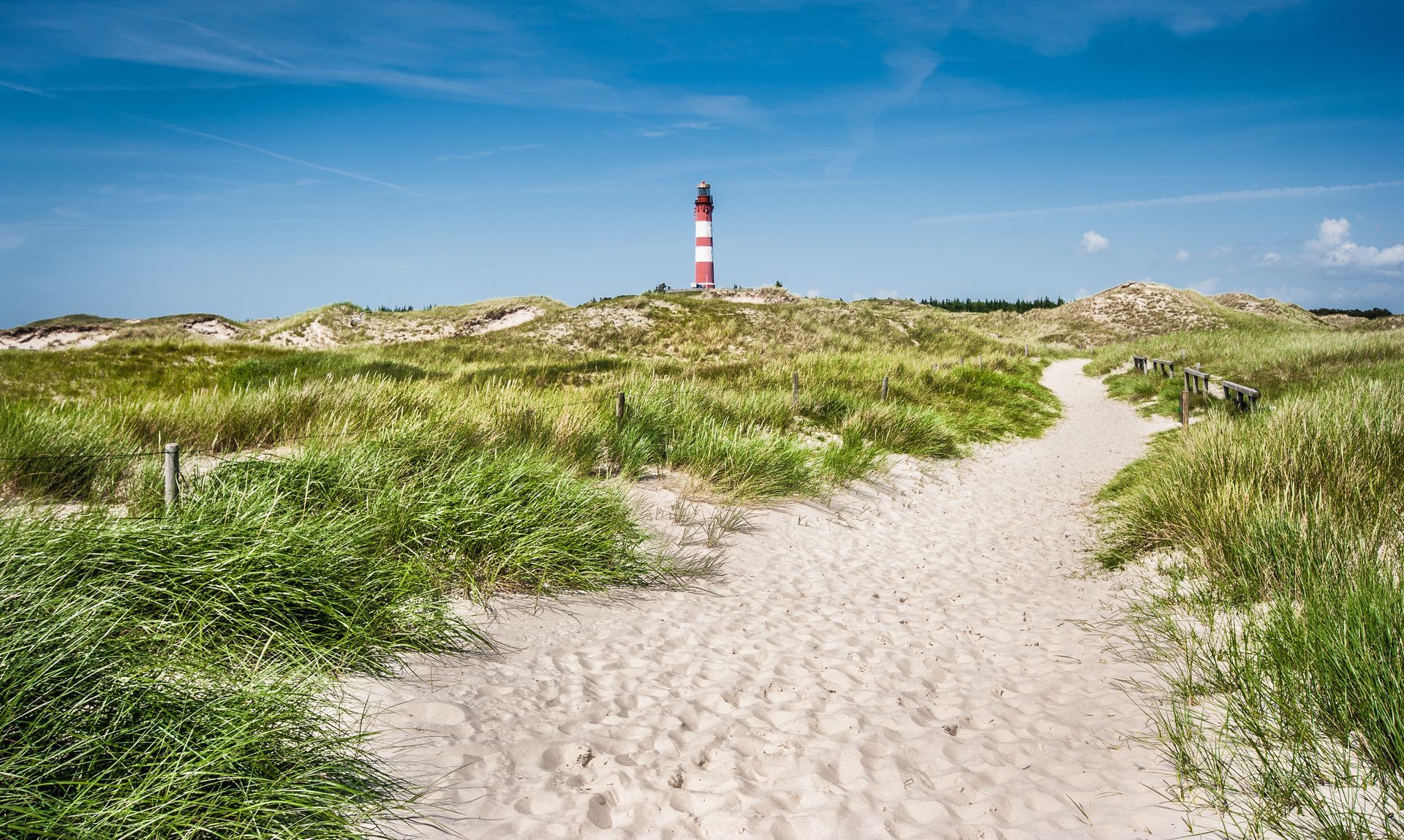 Dune landscape with lighthouse at North Sea