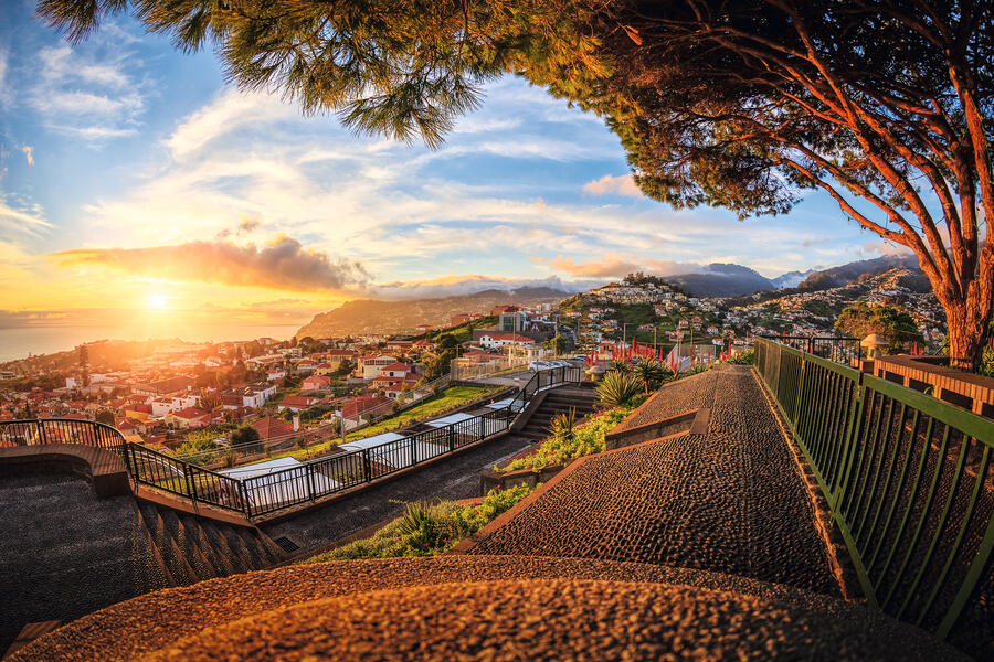 Bild zu Reise: Madeira