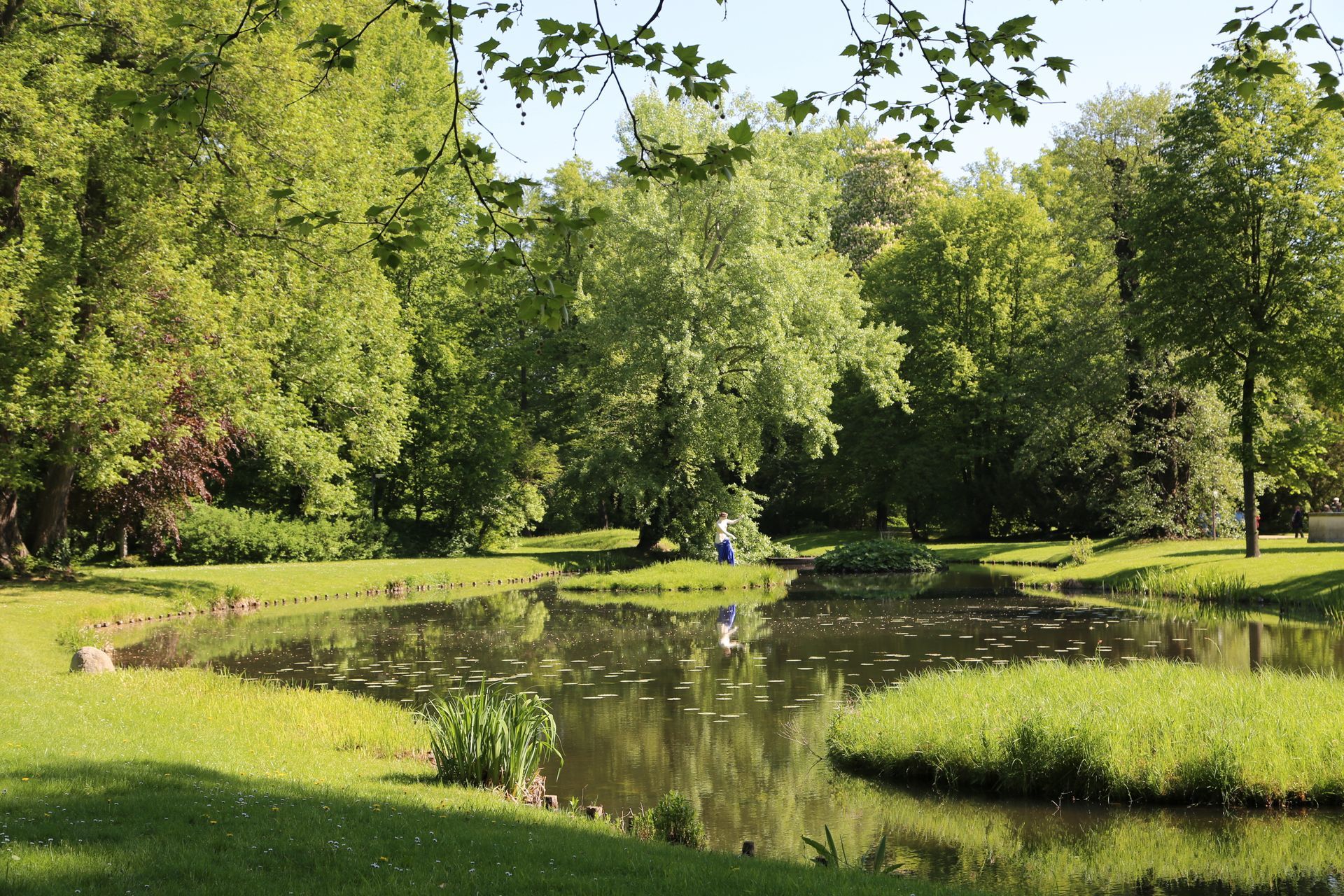 Im Branitzer Park