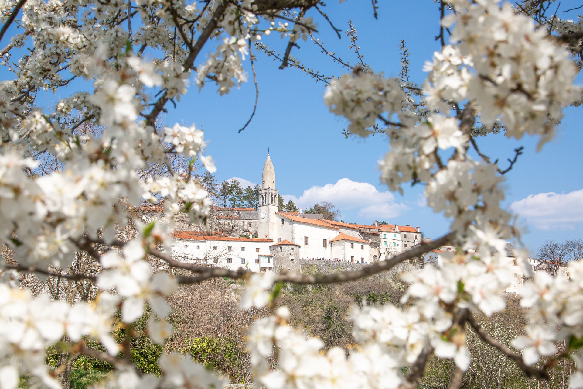 Lovely village Stanjel in slovenian Karst