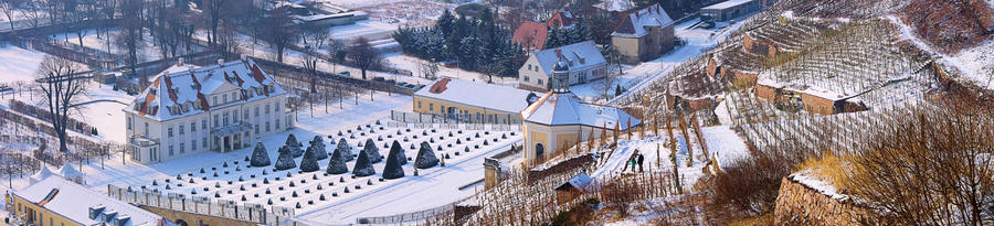 Bild zu Reise: Schloss Wackerbarth und Altkötschenbroda