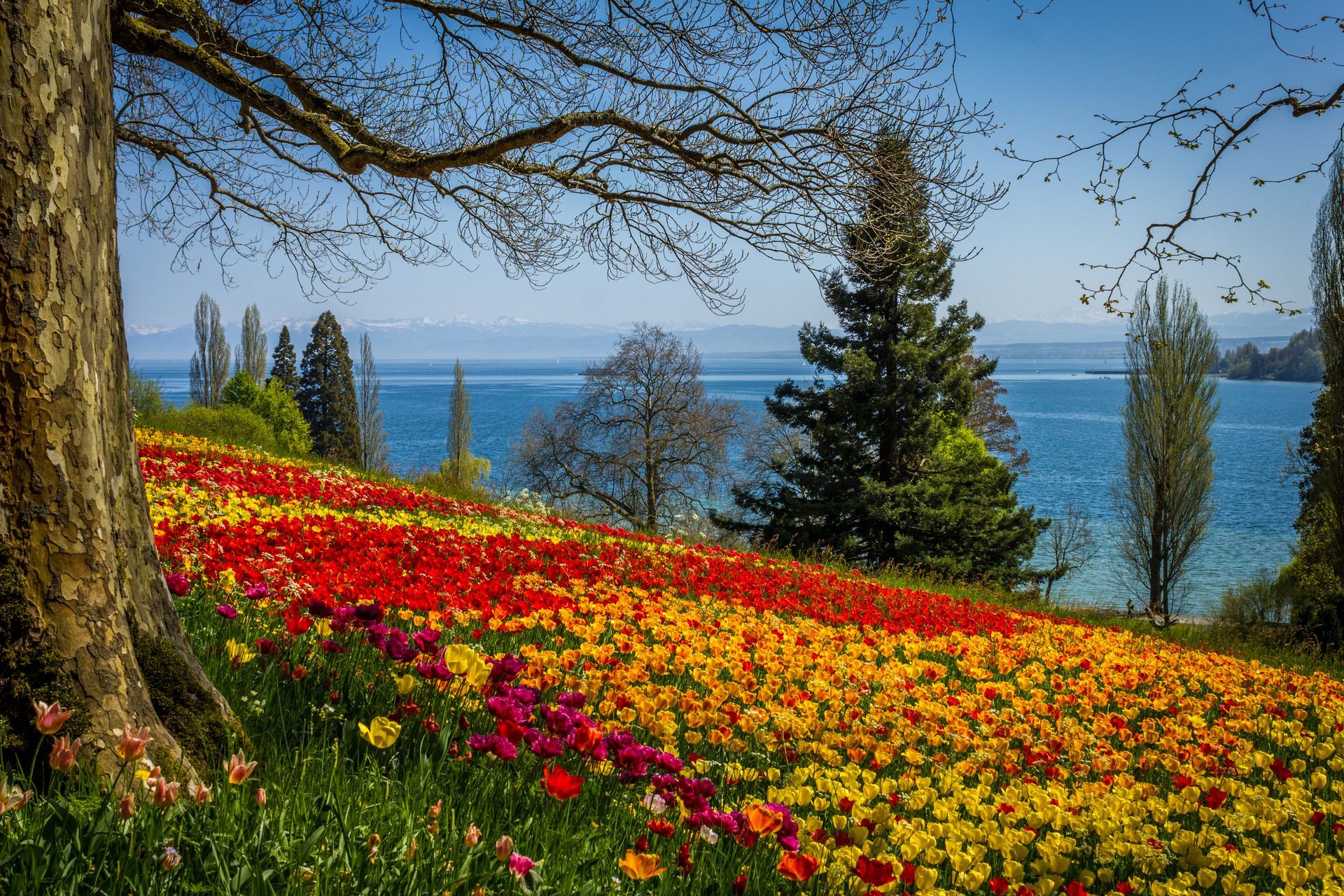 Insel Mainau