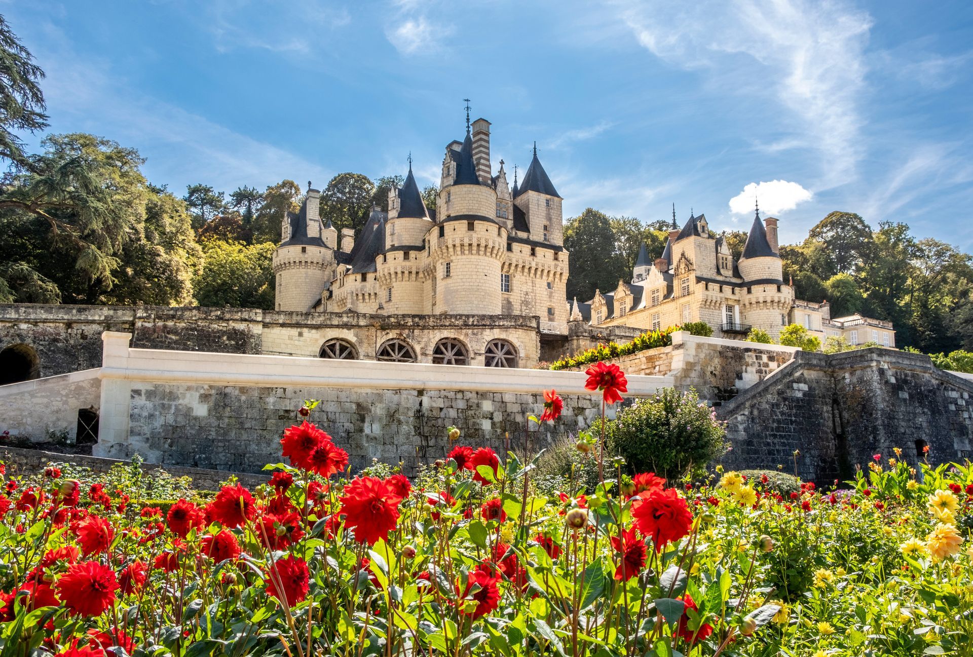 View no the beautiful medieval castle on sunny day with trees and flowers on the foreground, France.