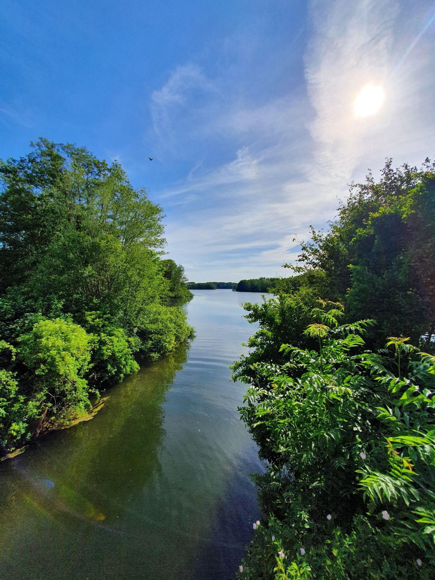 Landschaft in Schleswig Holstein bei Malente am Dieksee