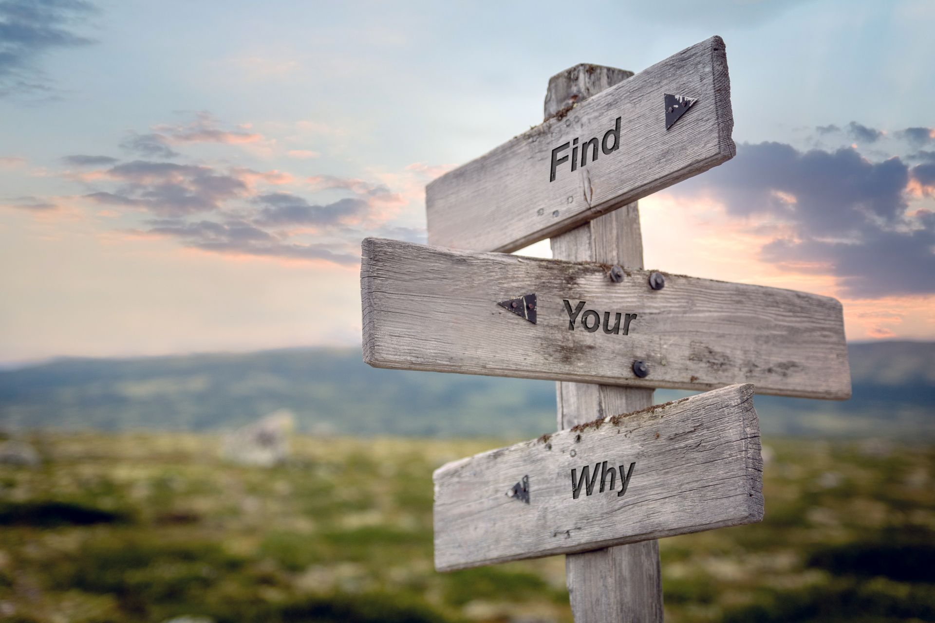 find your why text on wooden sign outdoors.