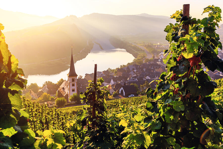 Bild zu Reise: Deutschlands schönste Flusslandschaften