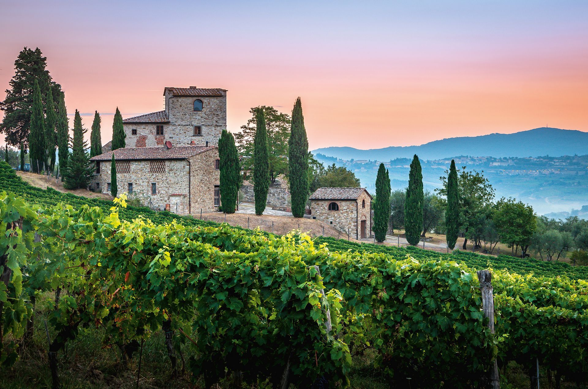 Panorama of Tuscan vineyard covered in fog at the dawn near Castellina in Chianti, Italy.