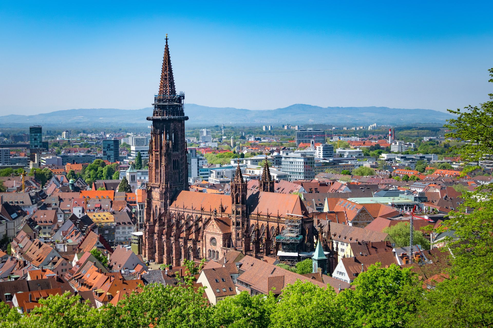 cathedral in Freiburg