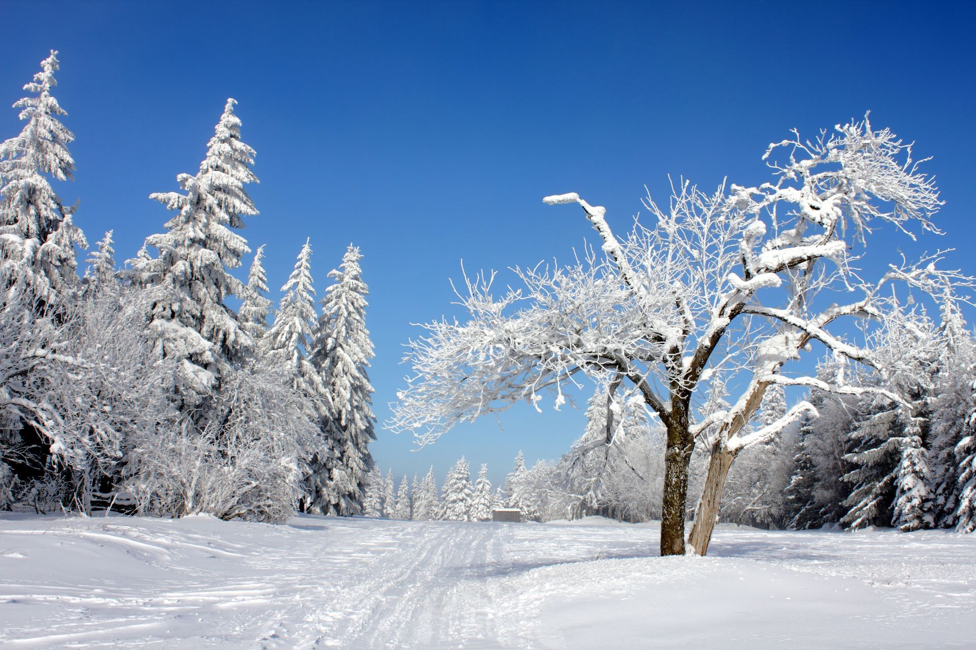 Winter im Osterzgebirge 20